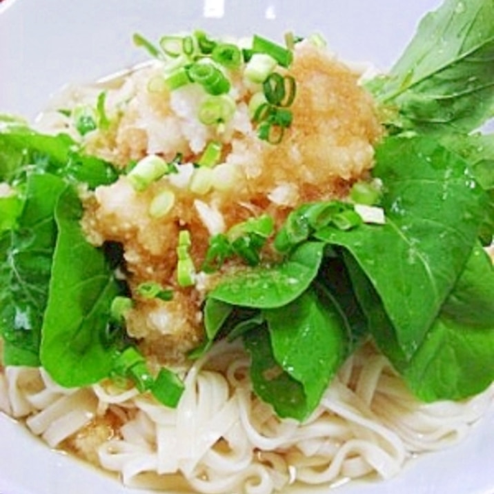 さっぱり ルッコラベビーリーフの冷やしうどん レシピ 作り方 By 一点集中力 楽天レシピ さっぱり ルッコラベビーリーフの冷やしうどん レシピ 作り方 By 一点集中力 楽天レシピ